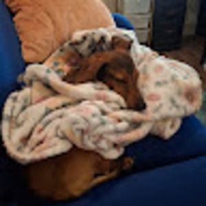 Meet your Posher, Morpheus